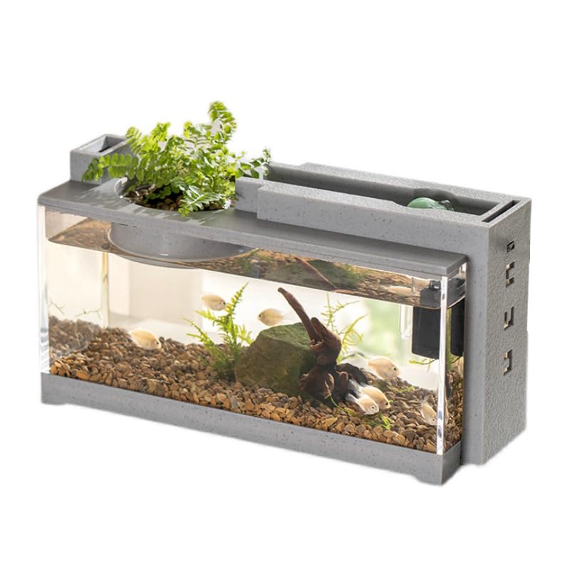 HASTHIP® Mini Betta Fish Tank30*13*16CM