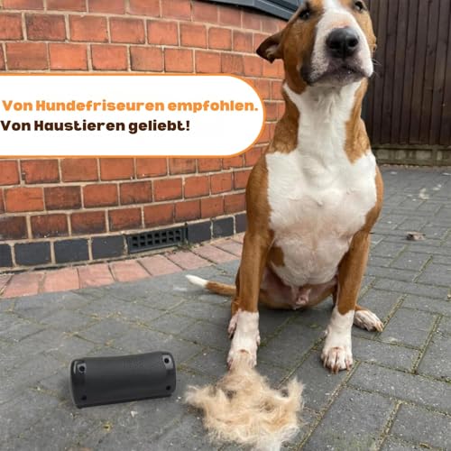 HASTHIP® Pet Care Brush, Dog Deshedding Brush, Anti-slip Handle Dog Brush for Dogs, Deshedding Dog Brush Pet Hair Removal Brush Grooming Tool Grooming Combs for Cat Dog