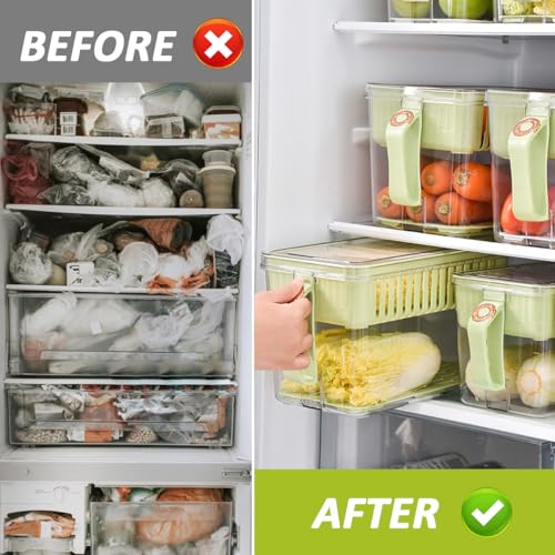 HASTHIP® ZIBUYU Fridge Organizer Storage Box with Handle & Lid, BPA-Free Food Grade Plastic Container, Removable Draining Tray, Multi-Purpose Kitchen Storage Bin for Refrigerator, 29.5x16.5x16.5cm