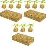 HASTHIP® 100PCS Seed Starter Rockwool Hydroponics Growing Cubes 0.98 Inches Seedling Cuttable Pad for Plant Flower Vegetable Seeds