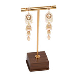 HASTHIP® Earring Display Stand Earring Display Holder Earrings Storage Rack for Earrings, Bracelet, Selling Showcase