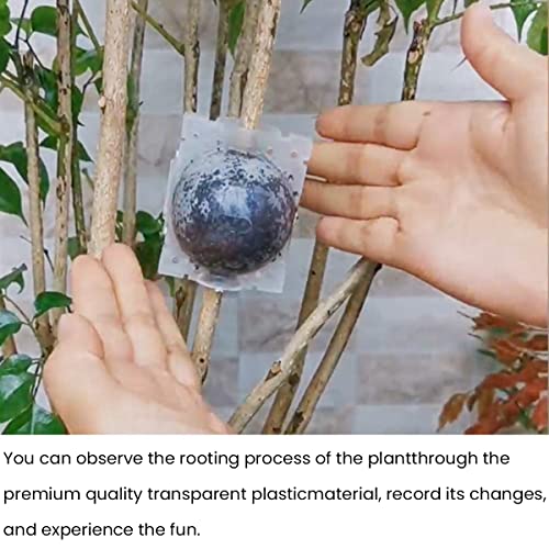 HASTHIP® 12PCS Plant Rooting Ball with Secure Locks for Indoor Outdoor Plants Reusable Grow Propagation Grafting Tools Device Root Box