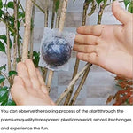 HASTHIP® 12PCS Plant Rooting Ball with Secure Locks for Indoor Outdoor Plants Reusable Grow Propagation Grafting Tools Device Root Box
