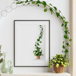 HASTHIP Garden Chain Trellis for Climbing Plants featuring 36PCS 228cm Hexagon Metal Design | Indoor Outdoor Vine Support