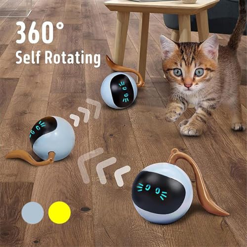 HASTHIP® Interactive Cat Ball for Bored