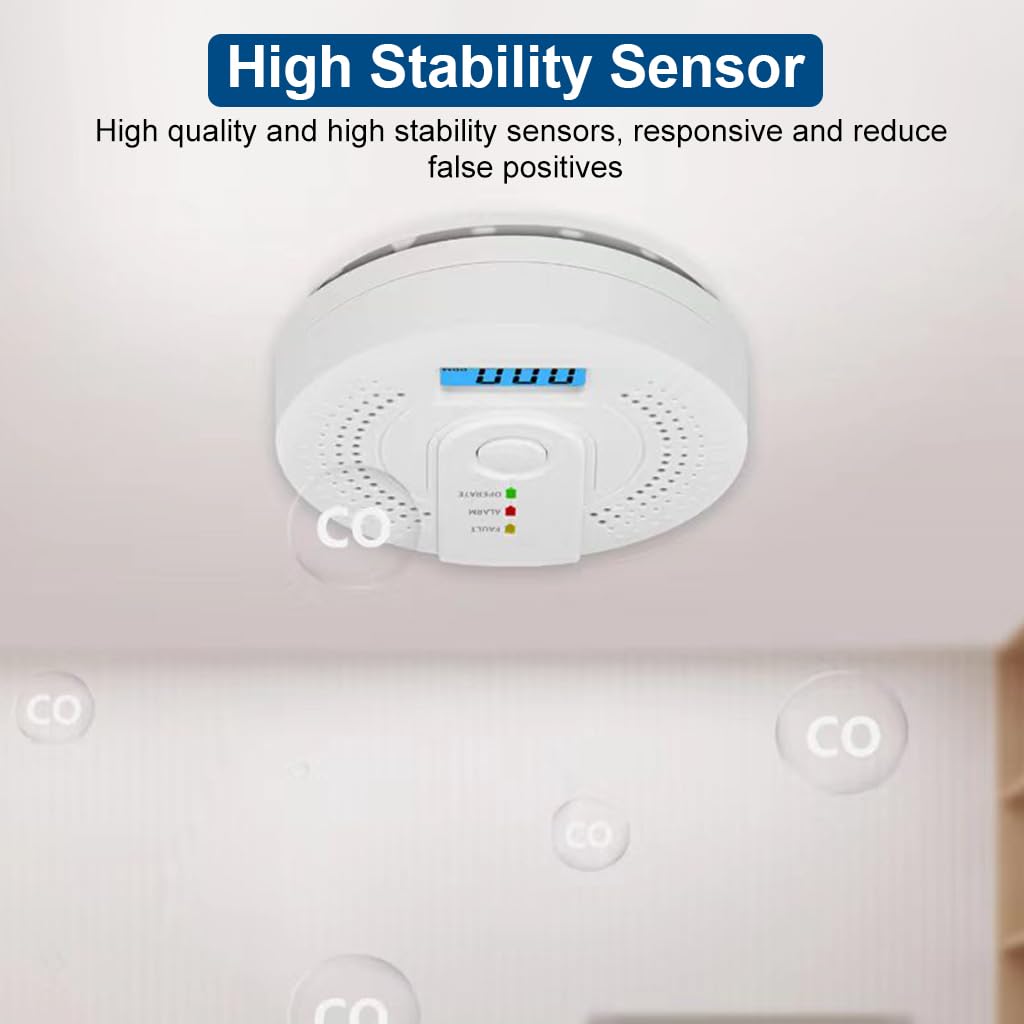 HASTHIP Carbon Monoxide Detector with LCD Display and 85dB Alarm | Advanced Sensor
