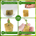 HASTHIP® 100PCS Seed Starter Rockwool Hydroponics Growing Cubes 0.98 Inches Seedling Cuttable Pad for Plant Flower Vegetable Seeds