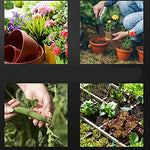 HASTHIP Gardening Tools Set for Home Use with 10Pcs Stainless Steel Hand Tools | Portable Storage Case