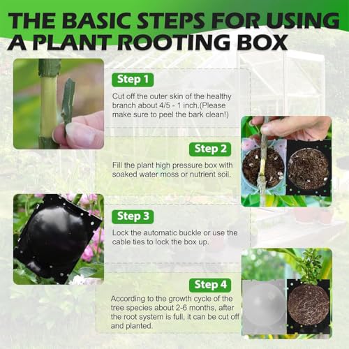 HASTHIP® 12PCS Plant Rooting Ball Plant Root Grow Box Reusable Propagation Garden Grafting Tools for Indoor Outdoor Plants Plastic (3 Size S M L)
