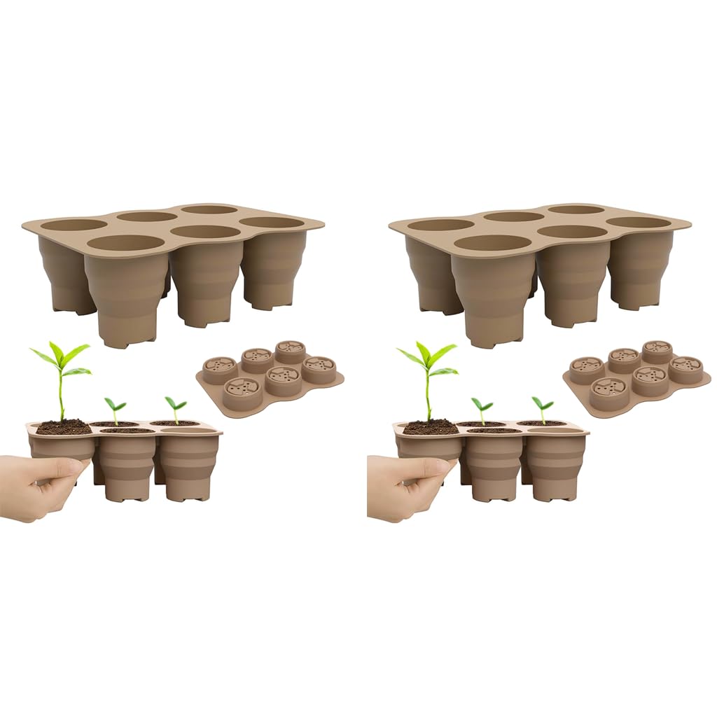 HASTHIP Silicone Seedling Germination Tray for Home Gardening with 6 Cell Reusable Greenhouse | Easy Seed Transfer for Microgreens and Plant Seeds