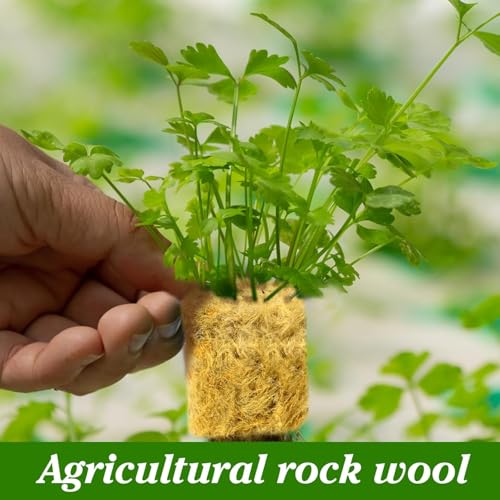 HASTHIP® 100PCS Seed Starter Rockwool Hydroponics Growing Cubes 0.98 Inches Seedling Cuttable Pad for Plant Flower Vegetable Seeds