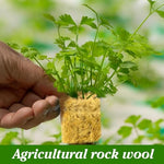 HASTHIP® 100PCS Seed Starter Rockwool Hydroponics Growing Cubes 0.98 Inches Seedling Cuttable Pad for Plant Flower Vegetable Seeds