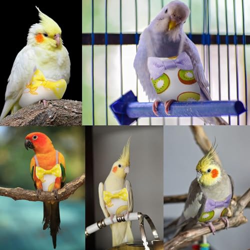 HASTHIP® 2-Pack Small Parrot & Budgie Flight Suits with Adorable Bow and Banana Prints, Lightweight Comfortable Bird Apparel with Elastic Straps, Washable Reusable Design