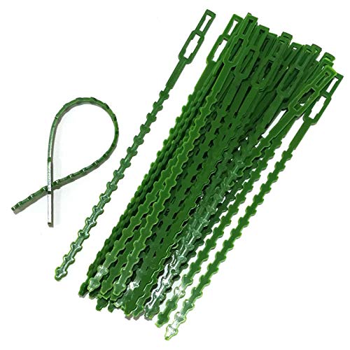 HASTHIP Plant Twist Ties for Flowers and Vegetables featuring Adjustable Teeth | 30pcs 23cm Reusable PE Support