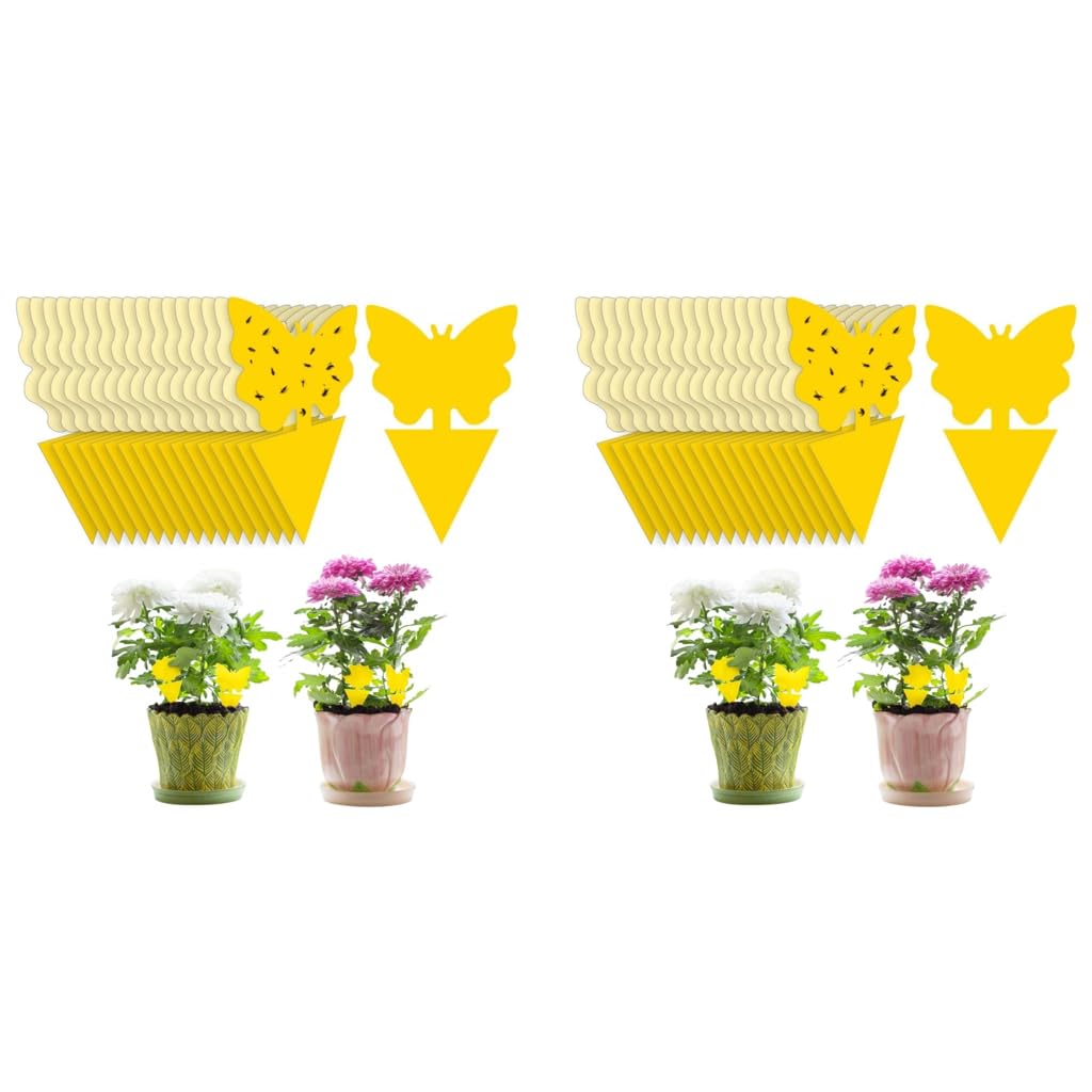HASTHIP Fruit Fly Trap for Home with Strong Adhesive | 30 Pcs Yellow Sticky Traps