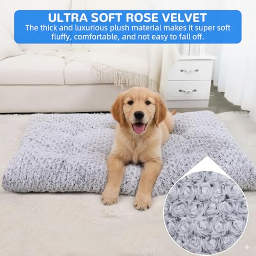 HASTHIP® Thermal Orthopedic Dog Bed