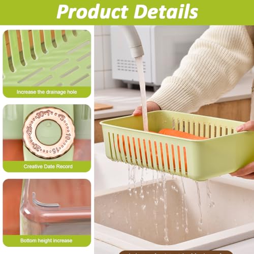 HASTHIP® ZIBUYU Fridge Organizer Storage Box with Handle & Lid, BPA-Free Food Grade Plastic Container, Removable Draining Tray, Multi-Purpose Kitchen Storage Bin for Refrigerator, 29.5x16.5x16.5cm