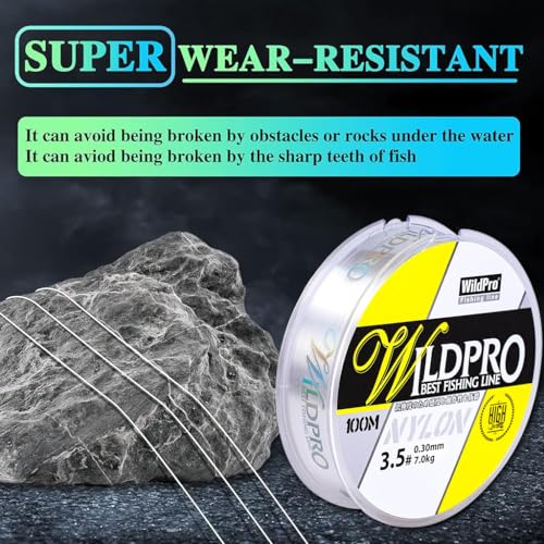 HASTHIP® Fishing Line, 109 Yards 0.3mm Fishing Wire, Clear Nylon Monofilament Super Strong 15.4lbs Abrasion Resistant High Stretch Fishing Line for Freshwater and Saltwater Angling