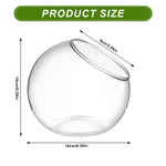 HASTHIP Glass Terrarium Container for DIY Mini Plant Display with Angled Opening | Clear Spherical Vase for Home Décor