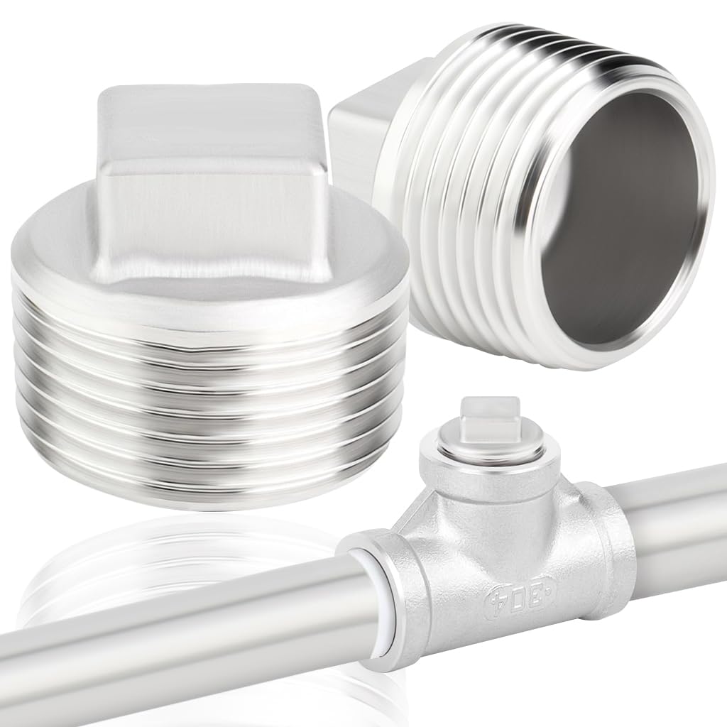 HASTHIP® 2pcs 304 Stainless Steel Pipe Fitting, 3/4'' Square Head Cored Plug Pipe Fastener to Seal The End of The Pipe