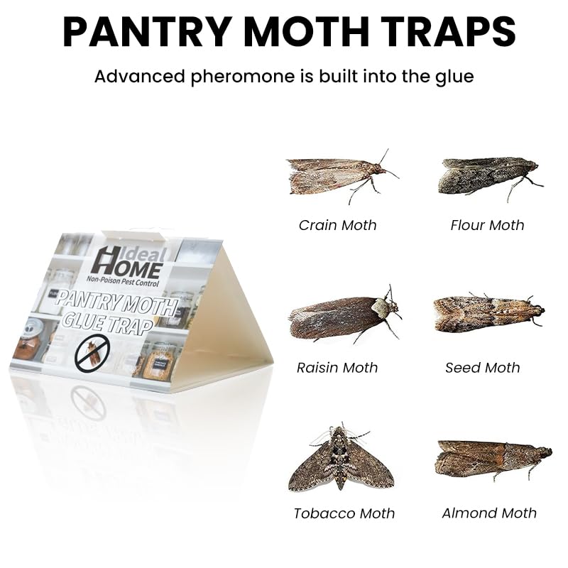 HASTHIP Moth Traps for Home with Triangular Tunnel Design and Strong Adhesive | 5 Pcs Safe Non Toxic Pest Control