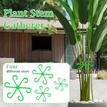 HASTHIP® 4 Pack Plant Climbers Stem Holders 6-Claw Plastic Supports Rings Support Clips for Climbing House Accessories 3PCS