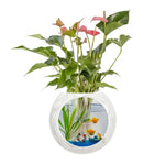HASTHIP Wall Hydroponic Planter for Home Decor with No Drill Mount and 4.72 in Silicone Pot | Soil Free Indoor Plant Growing Jar
