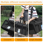 HASTHIP® Pet Carrier Transport Bag with Waterproof Food Pouch, Travel Carrying Case with Handle & Shoulder Strap, Breathable Mesh Carrying Case for Cat or Small Dogs, 50x23x31cm