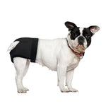 HASTHIP® Pañales Reutilizables para Perros Hembra Lavables y Transpirables con 3 Almohadillas de Algodón Absorbentes,Ajuste Elástico y Hebilla Rápida,Protector de Incontinencia Época