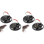 HASTHIP Rat Trap for Home and Garden with Strong Spring Loaded Disk | 4PCS Reusable Catcher