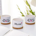 HASTHIP Ceramic Pots for Succulent Plants with Wooden Trays 3.1 in Set of 3 | Gift for Mum