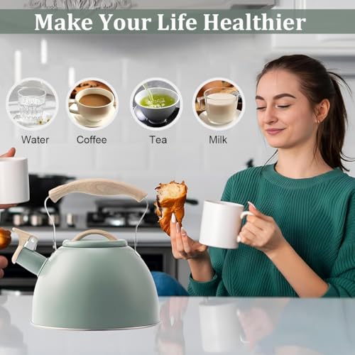 HASTHIP® 3L Stainless Steel Tea Kettle, Whistling Hot Water Pot for Stove and Induction, Anti-Scald Handle, Coffee & Tea Maker for Kitchen, Camping, RV