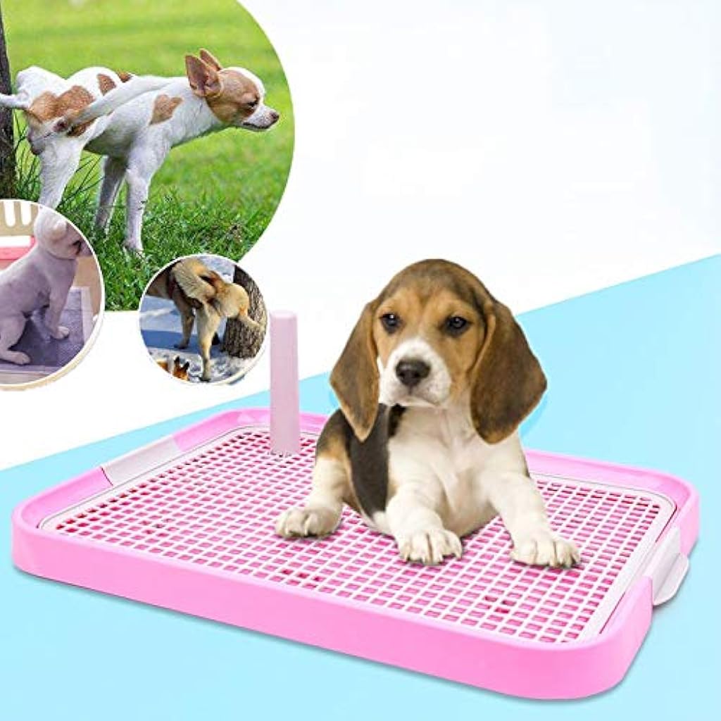 HASTHIP® Bandeja Sanitaria para Perros, Inodoro Interior para Cachorros con Rejilla Antiderrame, Caja de Entrenamiento Portátil, Plástico Resistente, Mantiene Patas Secas y Piso Limpio (19x1