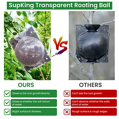 HASTHIP® 12PCS Plant Rooting Ball with Secure Locks for Indoor Outdoor Plants Reusable Grow Propagation Grafting Tools Device Root Box