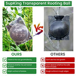 HASTHIP® 12PCS Plant Rooting Ball with Secure Locks for Indoor Outdoor Plants Reusable Grow Propagation Grafting Tools Device Root Box