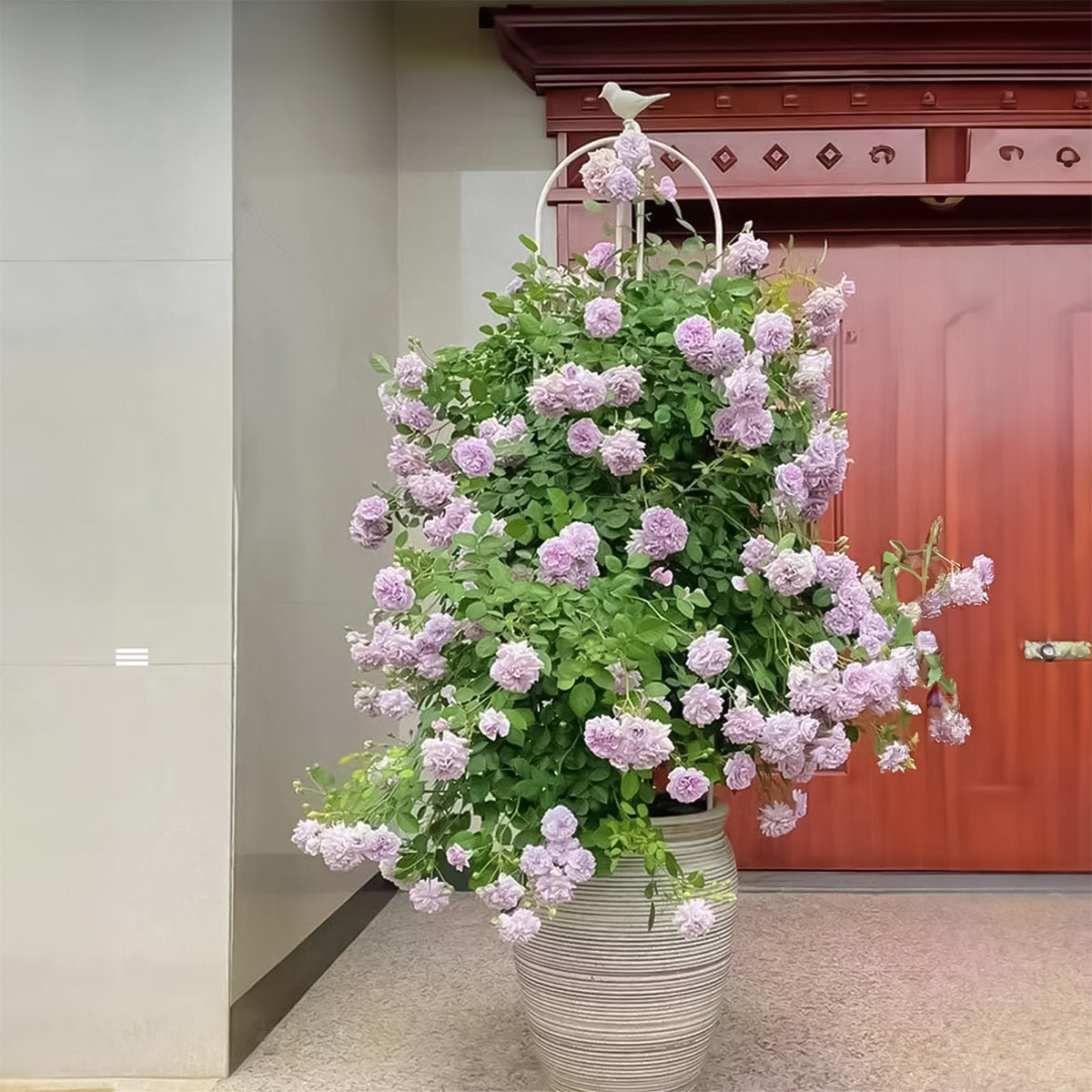 HASTHIP® 120cm Climbing Trellis Garden Decorative Plant Flower Trellis Obelisk Trellis Garden DIY Adjustable Climbing Flower Plants Pot for Clematis, Climbing Roses, Tomatoes, Ivy