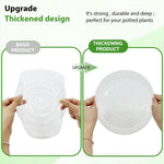 HASTHIP Plant Pot Saucers for Indoor and Outdoor Use with Drainage Grooves 12pcs 9.8 in | Clear Plastic Trays to Prevent Water Spillage