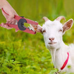 HASTHIP Livestock Ear Tag Applicator Set for Cattle and Sheep with 100 Numbered Tags | Red Plastic Farming Tool