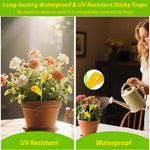 HASTHIP Sticky Bug Trap Strips for Planter Pots with Sticks 10 Count 3.3x3.3cm | Yellow Decorative Pest Control