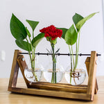 HASTHIP Hydroponics Glass Planter for Desktop Decor with 3 Bulb Vases and Wooden Stand | 11 in Wide