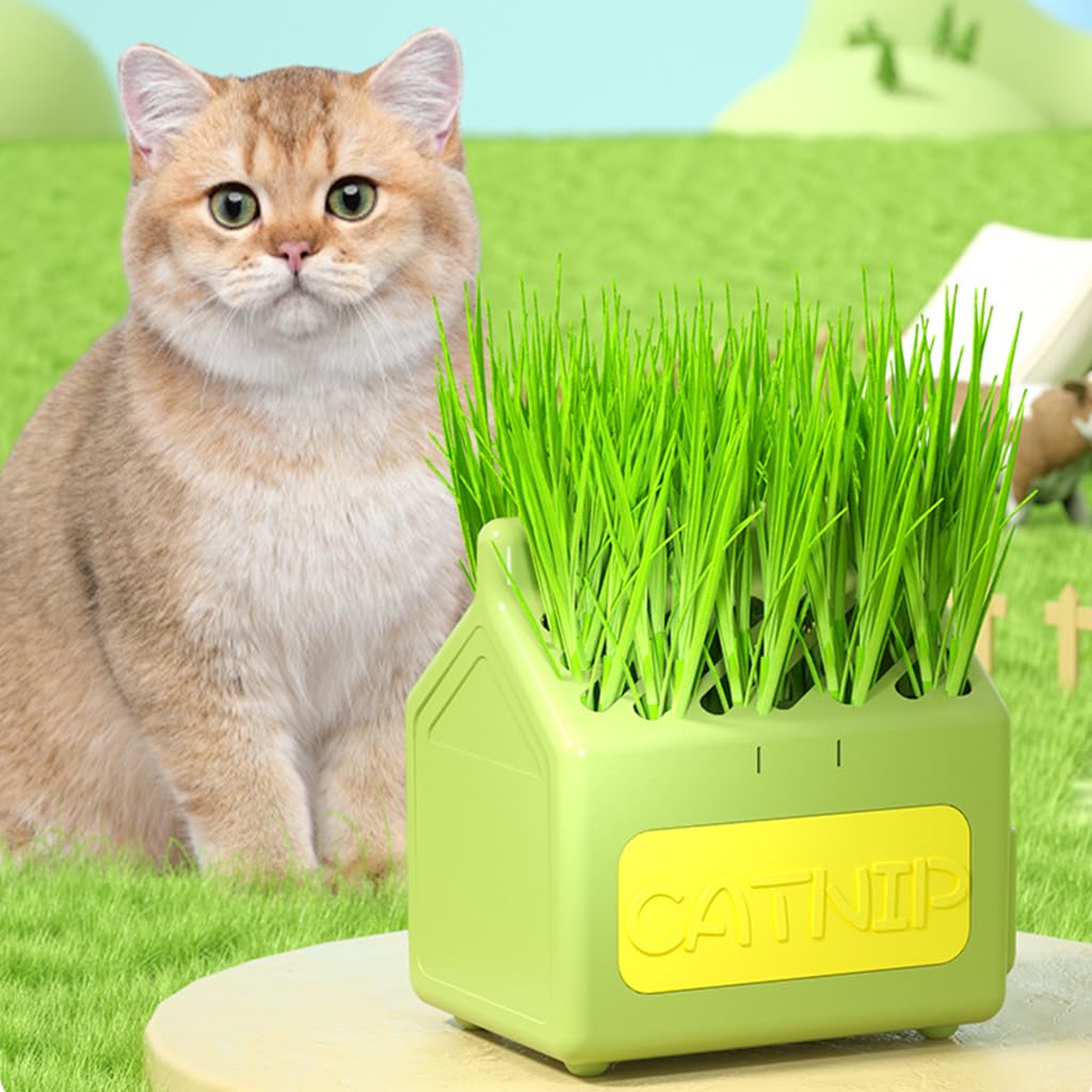 HASTHIP® Cat Grass Planter