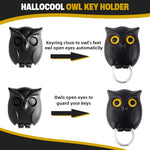 HASTHIP Key Mount Wall Organizer for Entryway with Push-in Key Grip and Blink Eye Owl Design