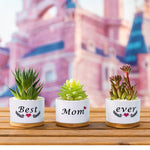 HASTHIP Ceramic Pots for Succulent Plants with Wooden Trays 3.1 in Set of 3 | Gift for Mum