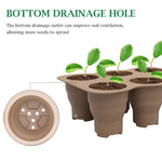HASTHIP Silicone Seedling Germination Tray for Home Gardening with 6 Cells and Ventilation Holes