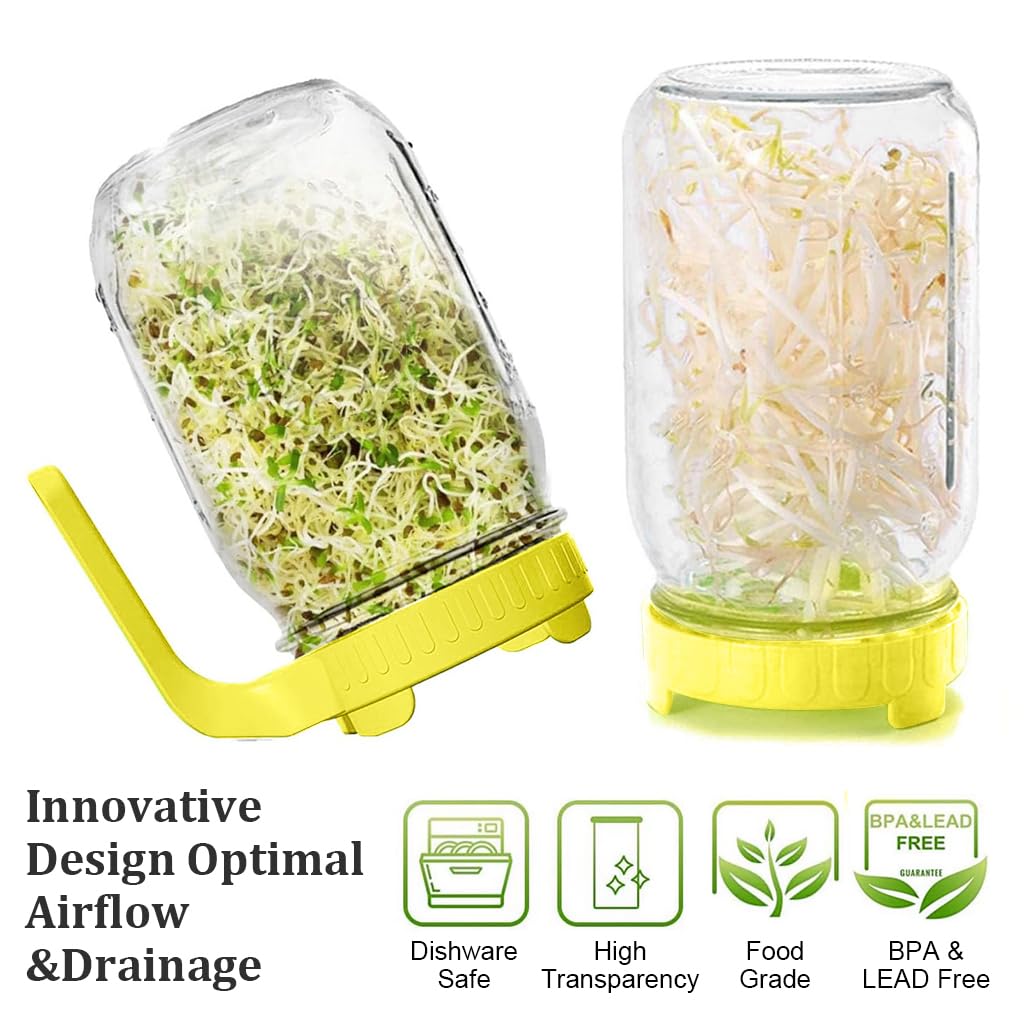 HASTHIP Sprouting Mason Jar for Homemade Edible Seeds with 32 oz Glass Body and Ventilated Mesh Lid | Includes PP Handle