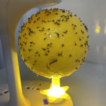 HASTHIP USB Fly Trap Balls for Kitchen and Living Room with LED Attractant Light | 3.15 in Yellow Sticky Pest Control