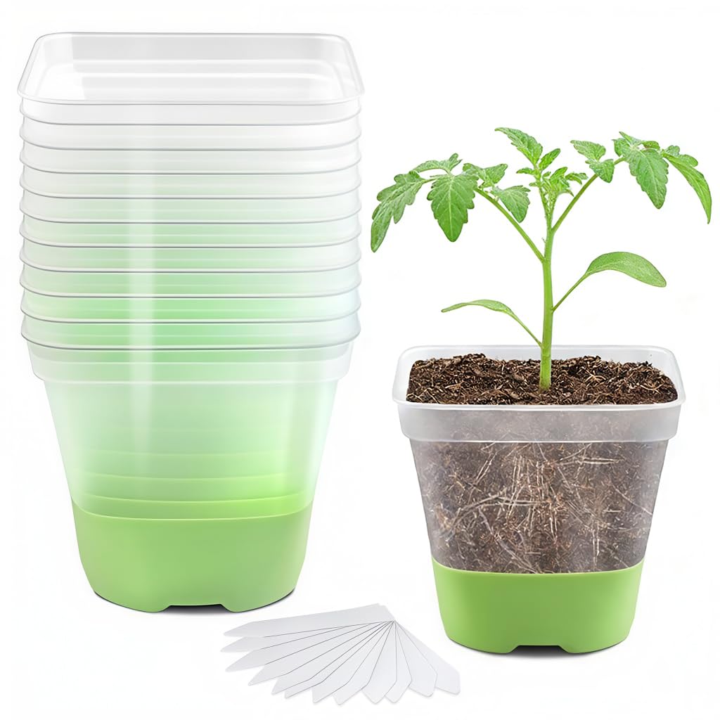 HASTHIP® 12 Clear Seedling Starter Pots with Silicone Bottom, Reusable Transparent Germination Pots with Drainage Holes & 12 Plant Labels, Easy-Release Nursery Cups for Herbs, Flowers & Vegetable Seed