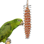 HASTHIP® Bird Food Holder Stainless Steel Fruit Vegetable Skewer Hanging Feeder for Parrot Budgie Parakeet Cockatiel Conure Macaw African Grey Cage Accessories No Mess Feeding Tool