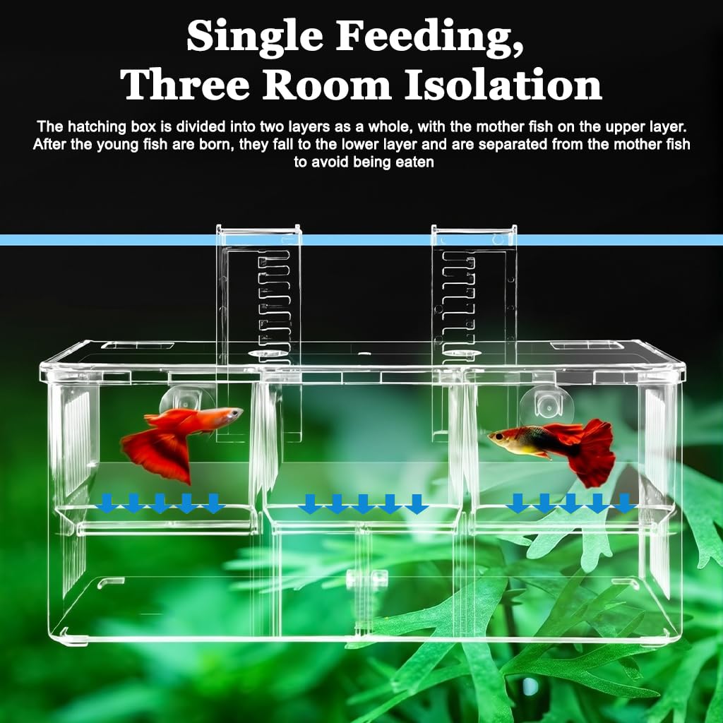 HASTHIP® Guppy Breeding Box Aquarium Isolation