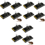 HASTHIP Rat Traps for House and Garden featuring Simple Bait Mechanism | 12PCS Reusable